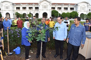 YAB Menteri Besar Perak Tanam Semula Pokok Ipoh 